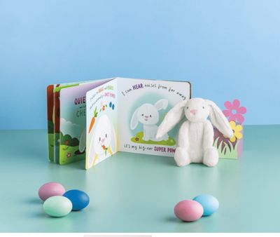 Day in the Life of Sunny the Little Bunny