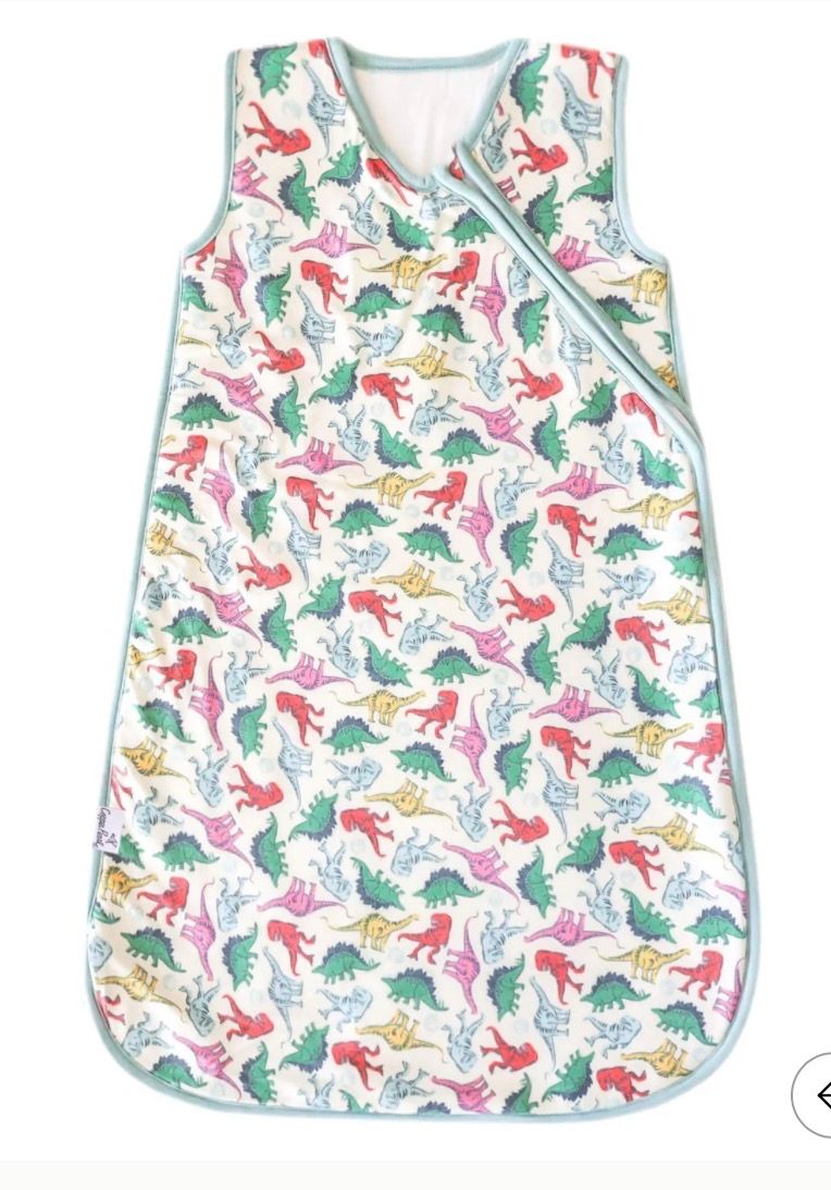 Dinosaurs of Jurassic Park Sleep Bag 0-6 MO
