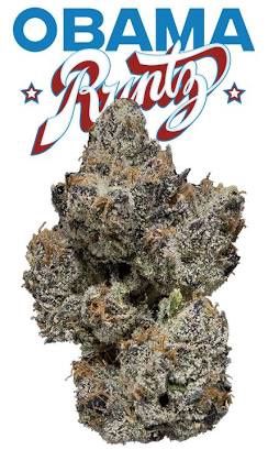 Obama Runtz THC-A 3.5g