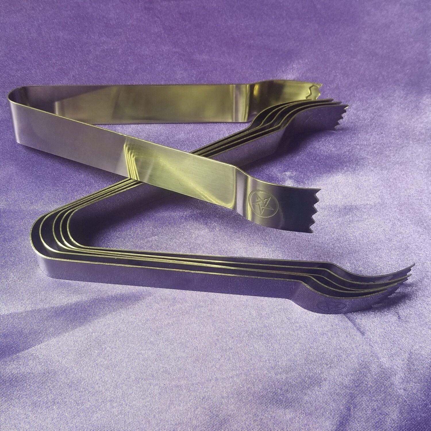 Stainless Steel Charcoal Tongs