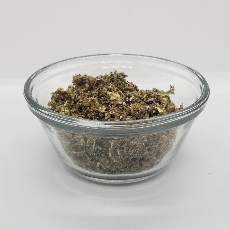 Mugwort (Artemisia vulgaris)