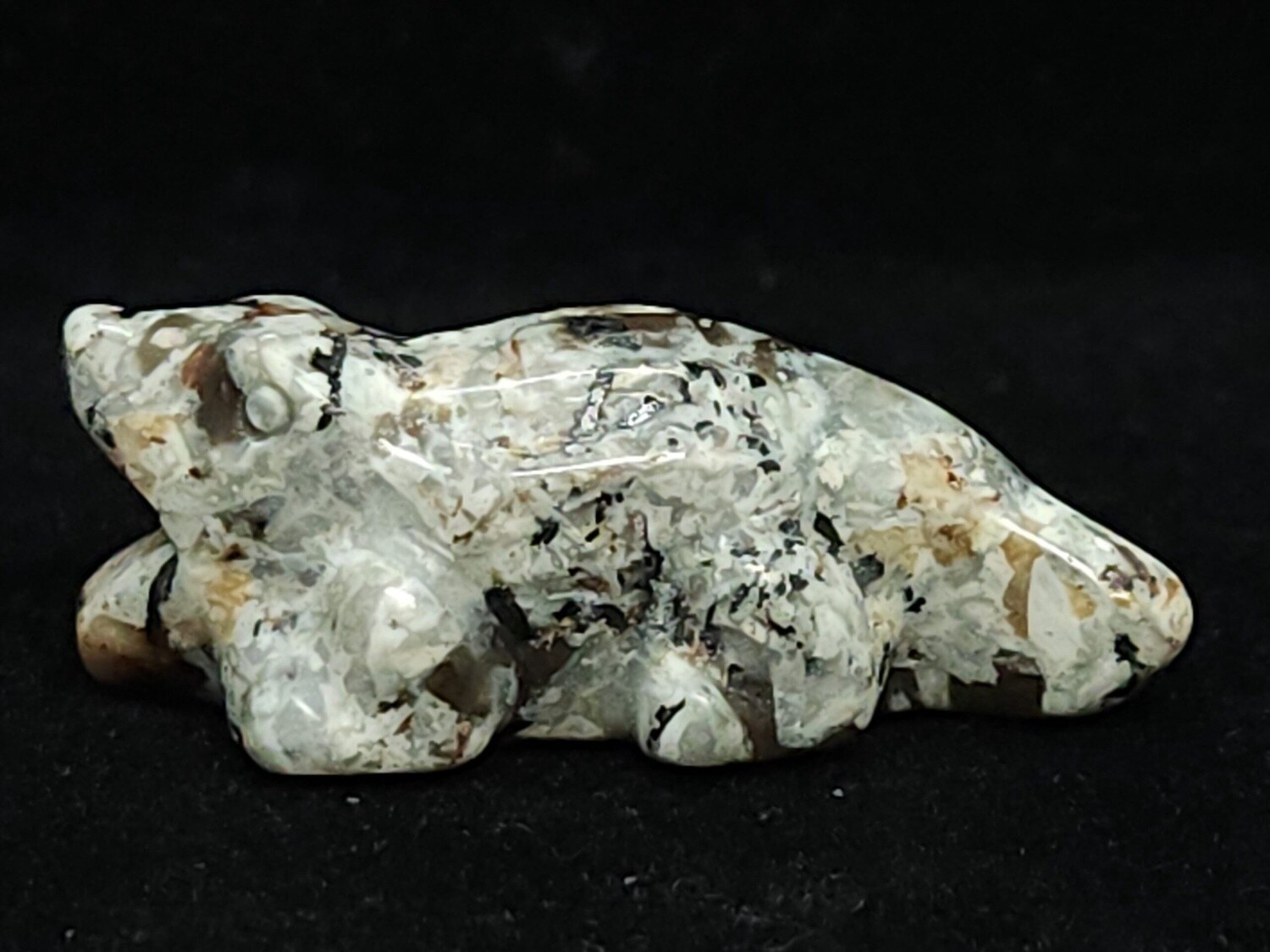 Crystal Gators