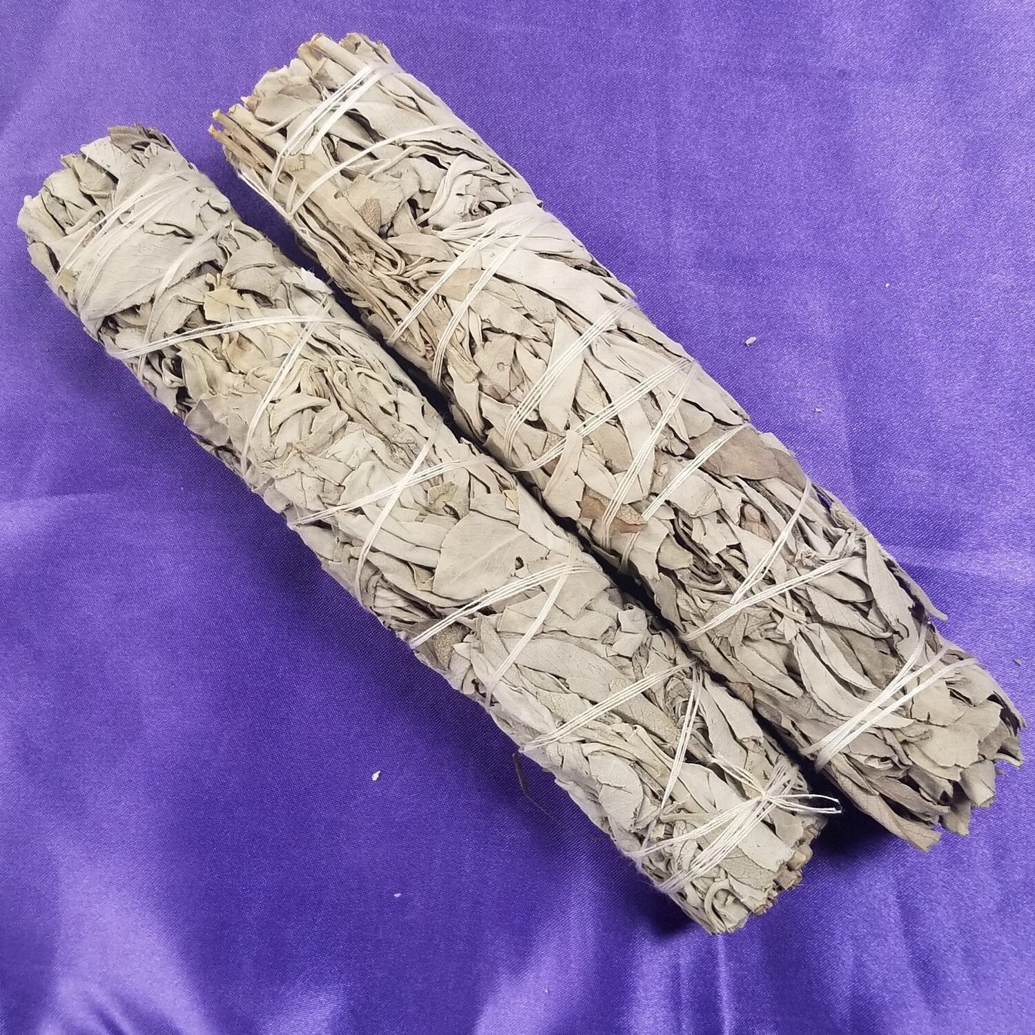 California White Sage 8"