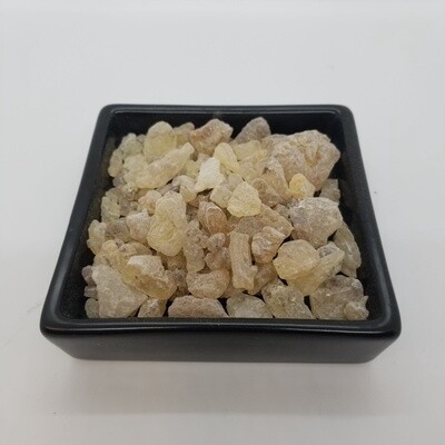 Copal (Bursera fagaroides)