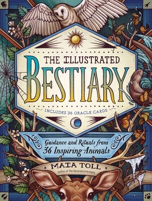 The Illustrated Bestiary by Maia Toll and Kate O'Hara