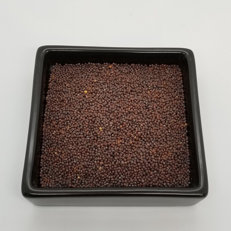 Mustard seed