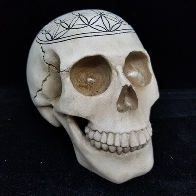 Sacred Geometry Skull Flower of Life