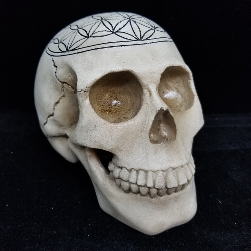 Sacred Geometry Skull Flower of Life