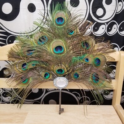 Peacock Feather Key Fan