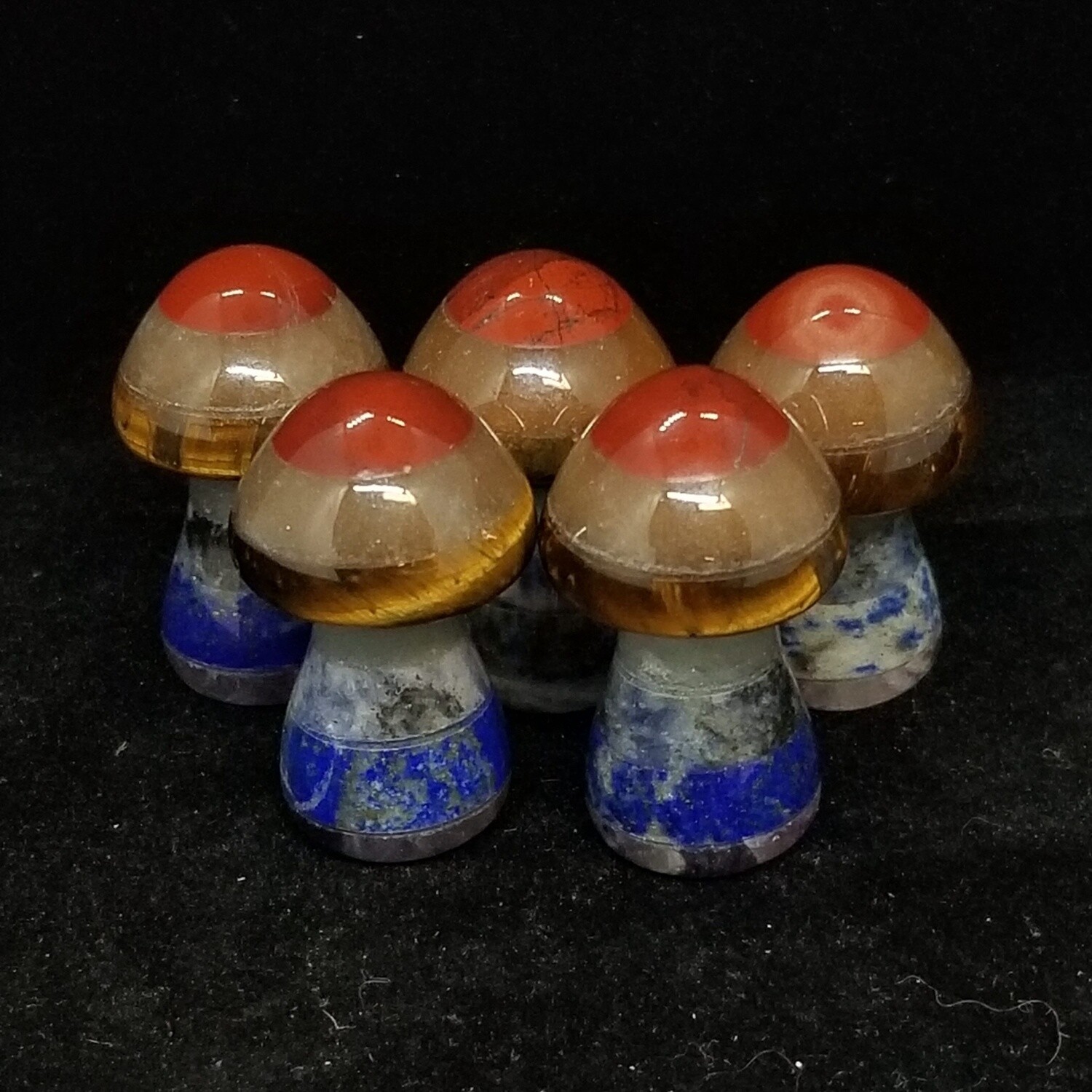 Super Seven Mushrooms