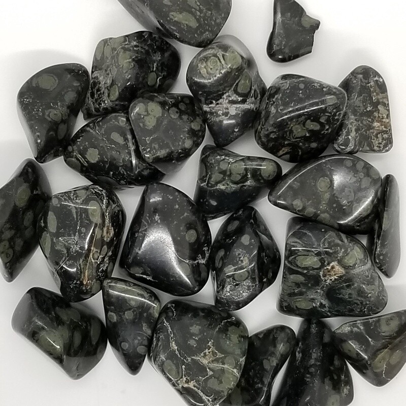 Kambaba Jasper, tumbled