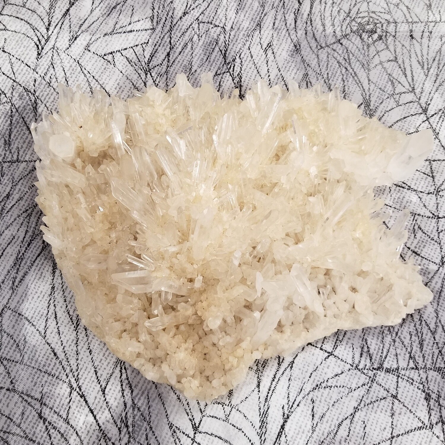 Large Quartz Cluster Plate