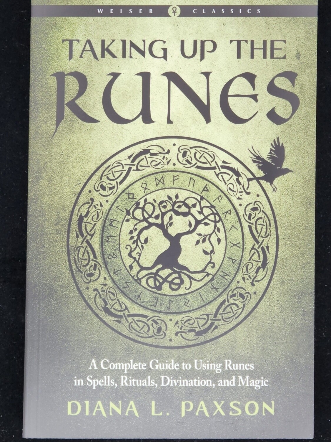 Taking Up the Runes by Diana L. Paxson