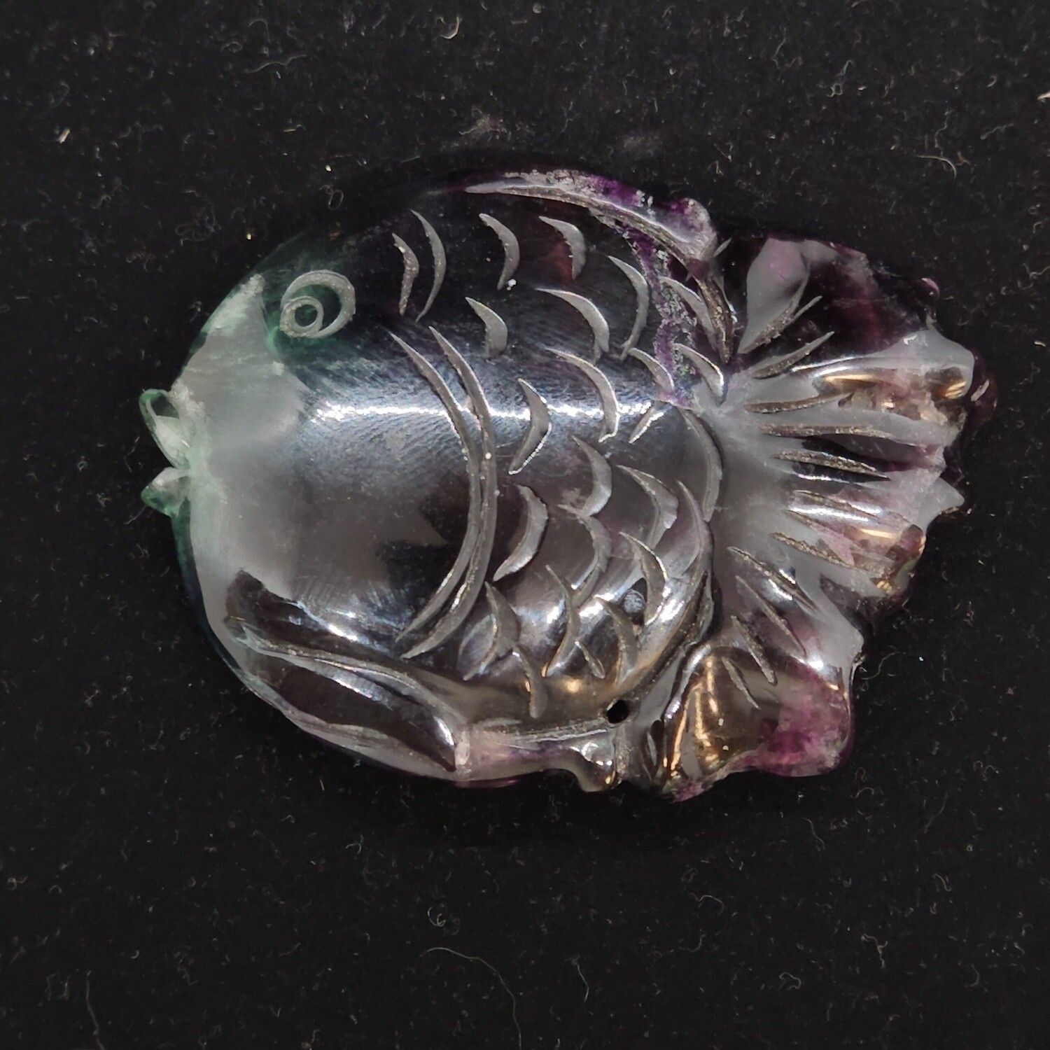 Fluorite Fish