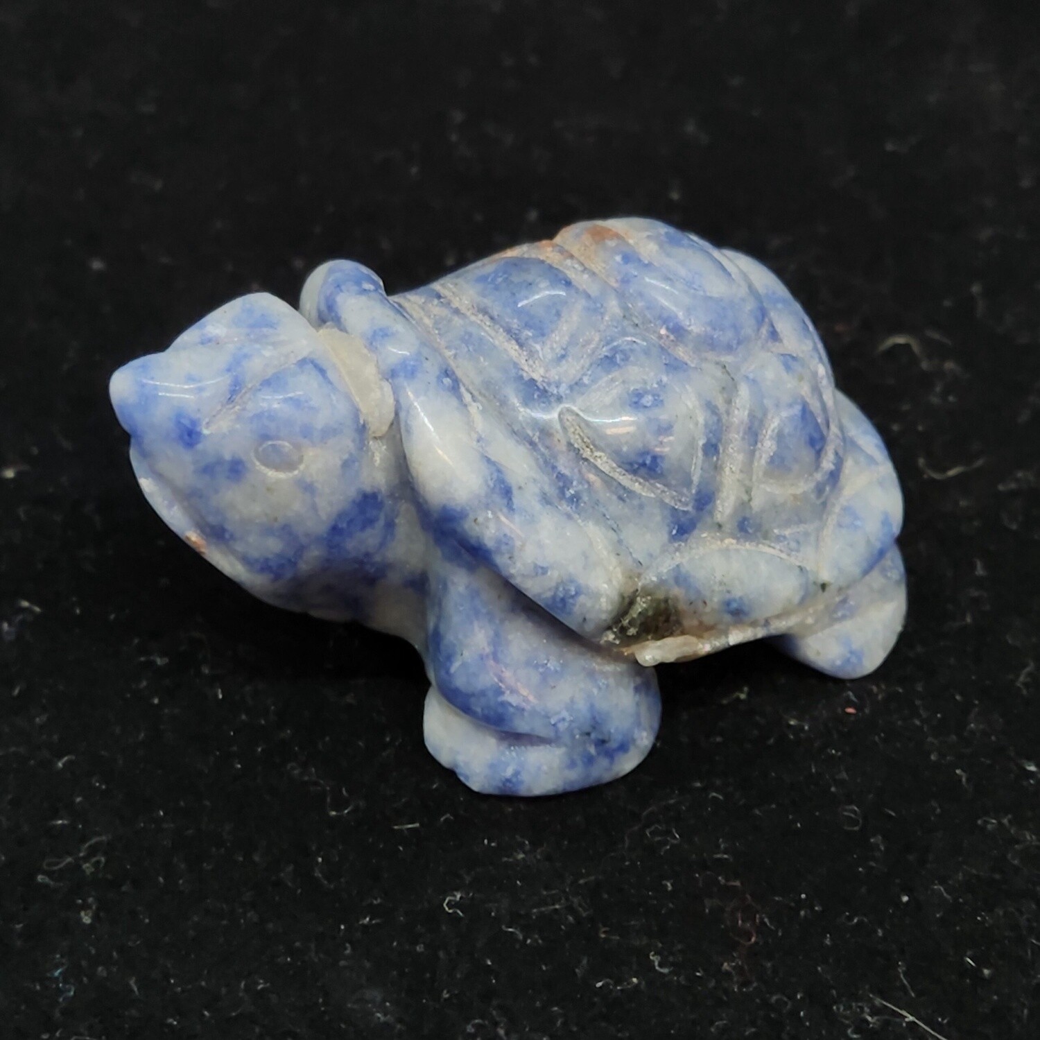 Sodalite Turtle