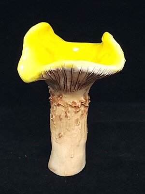 Yellow Chanterelle Mushroom