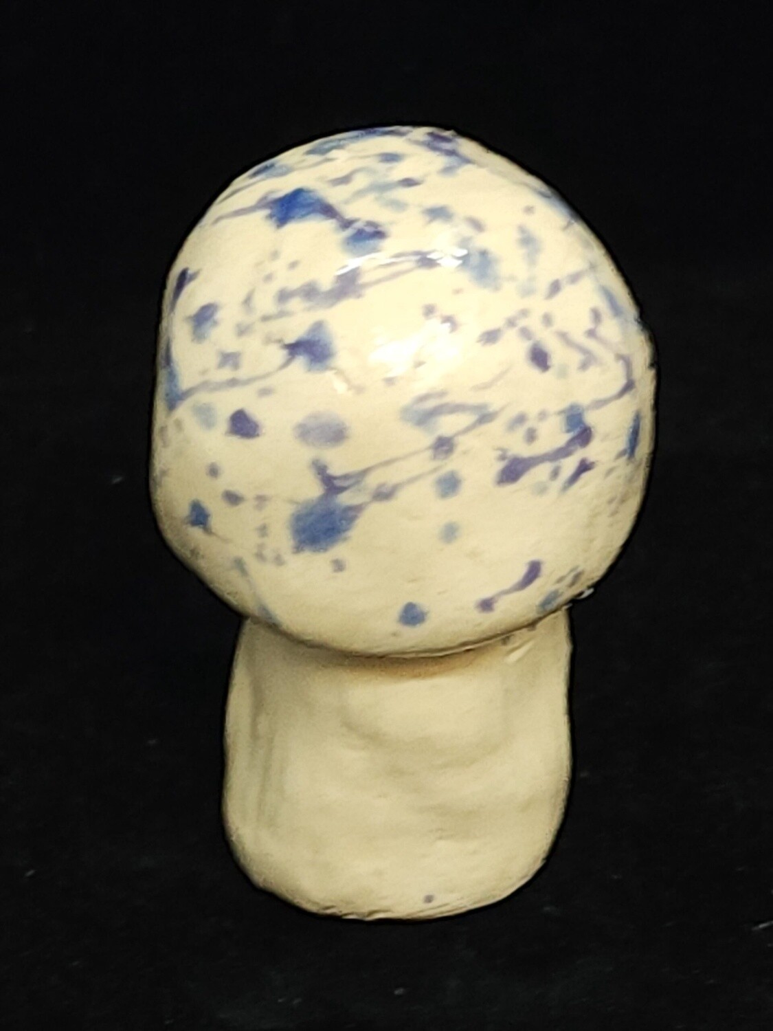 Indigo Milk Cap Mushroom