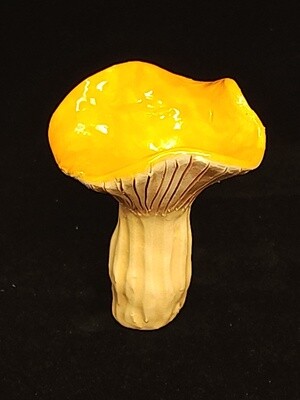 Orange Chanterelle Mushroom