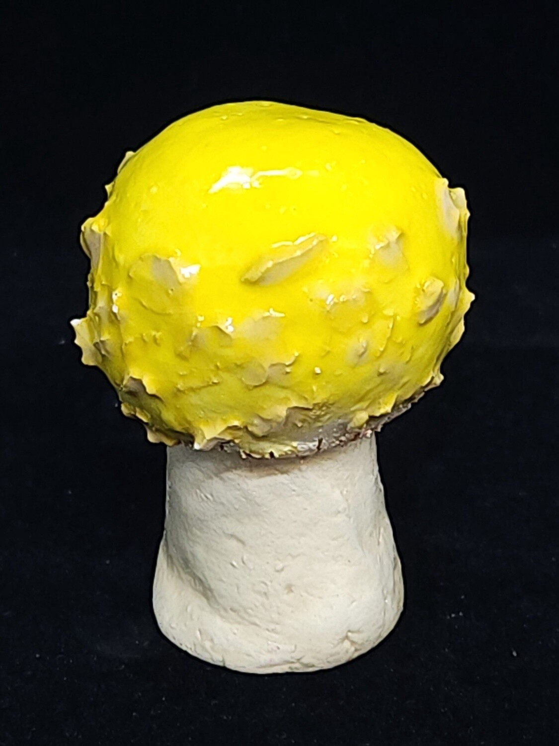 Yellow Porcini Mushroom