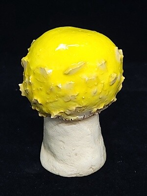 Yellow Porcini Mushroom