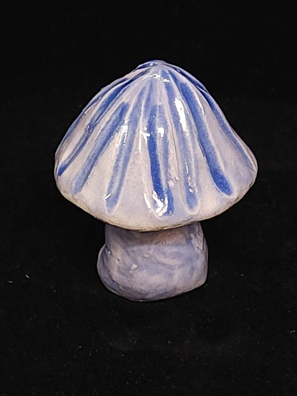 E. hochstetteri Mushroom
