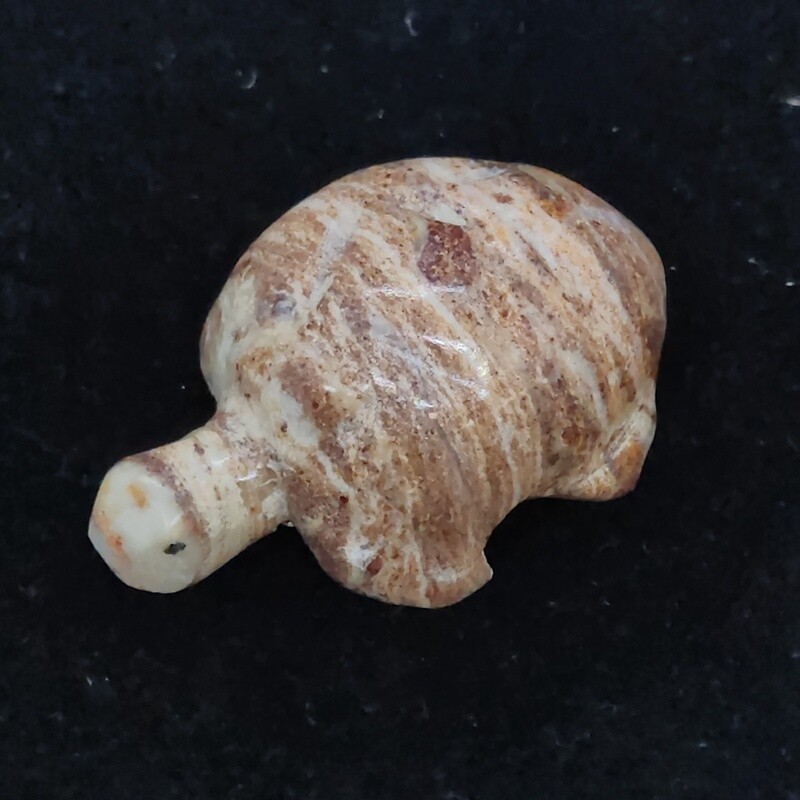 Jasper Turtle