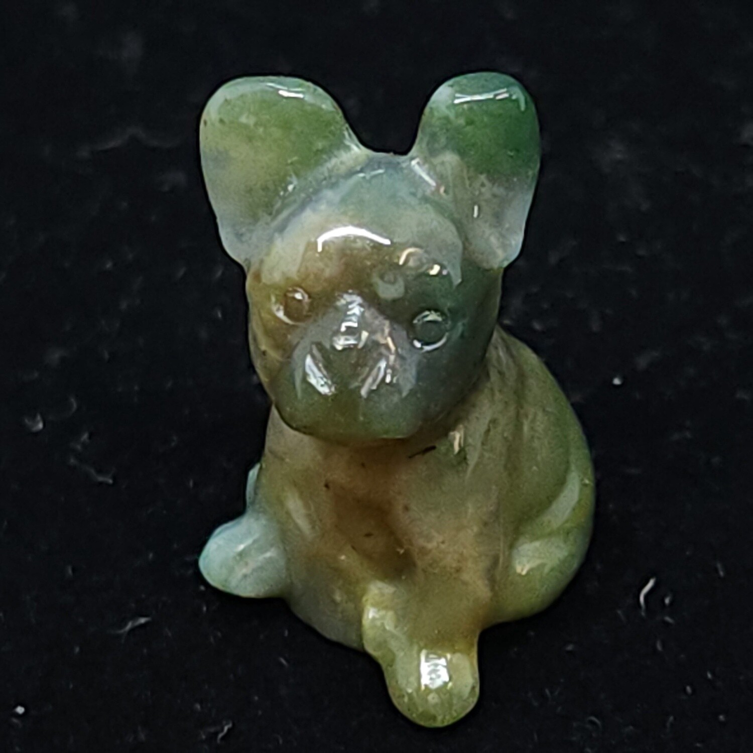 Ocean Jasper Dogs