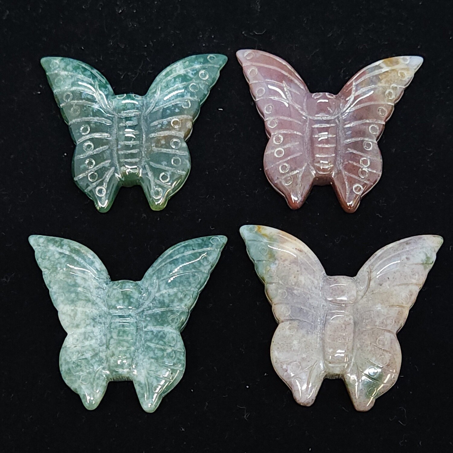 Ocean Jasper Butterflies
