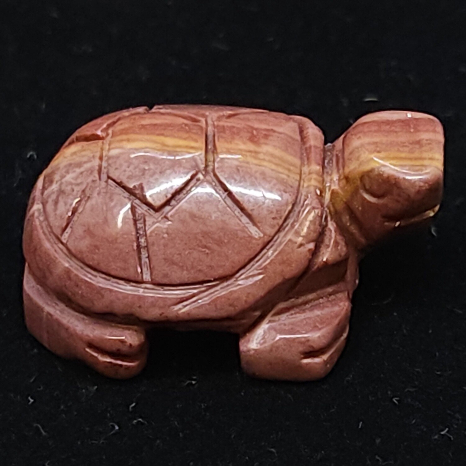 Mookaite Tortoises