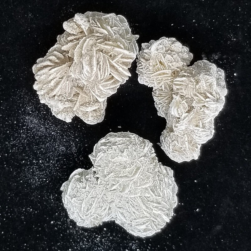 Desert Rose Selenite Clusters