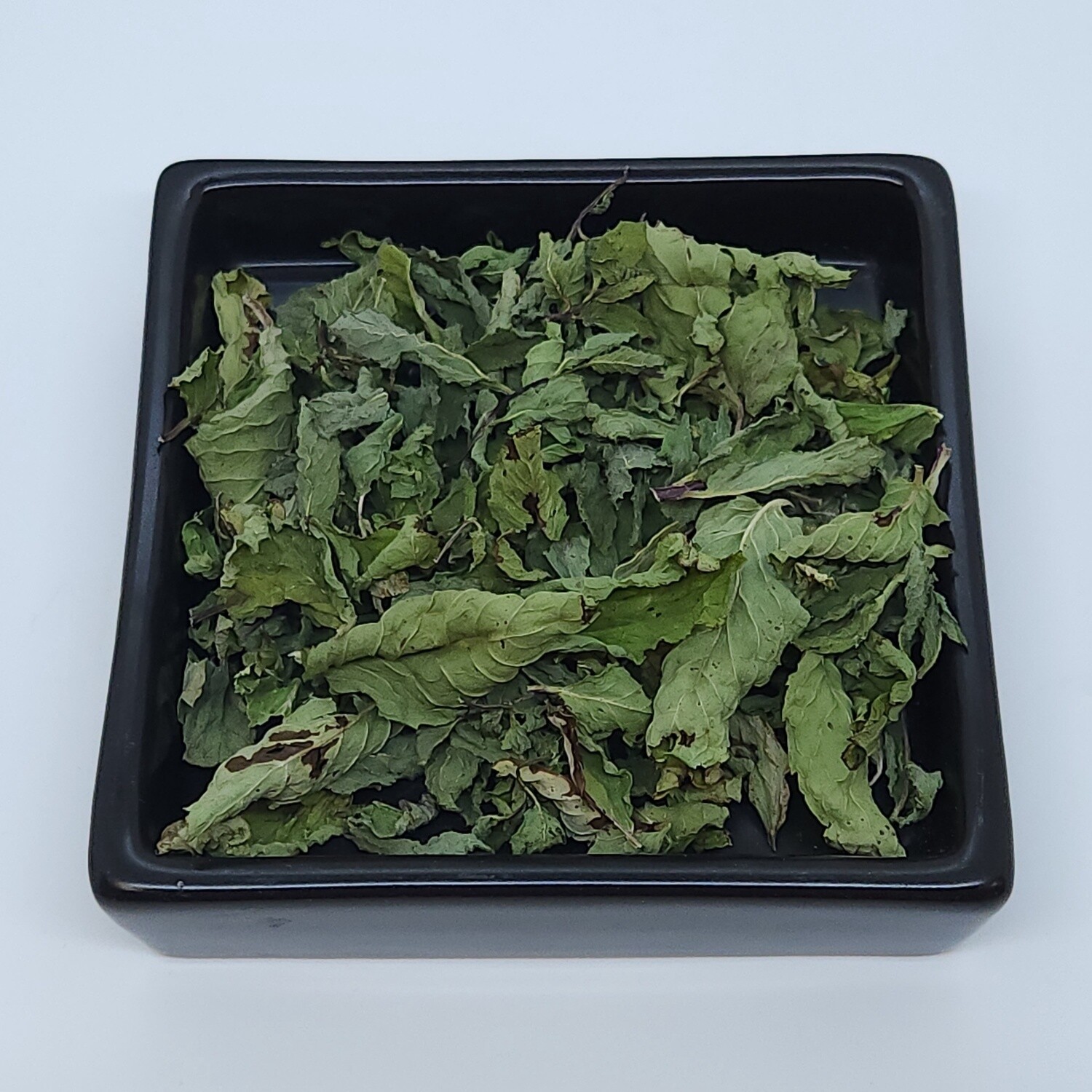 Spearmint (Mentha spicata)