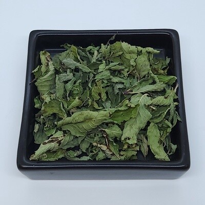 Spearmint (Mentha spicata)