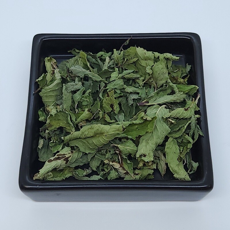 Spearmint (Mentha spicata)