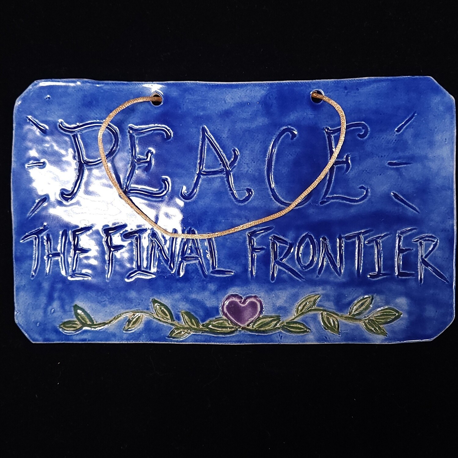 The Final Frontier Plaque