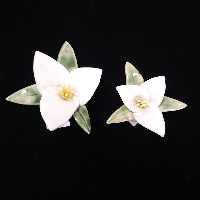 Trillium Flowers