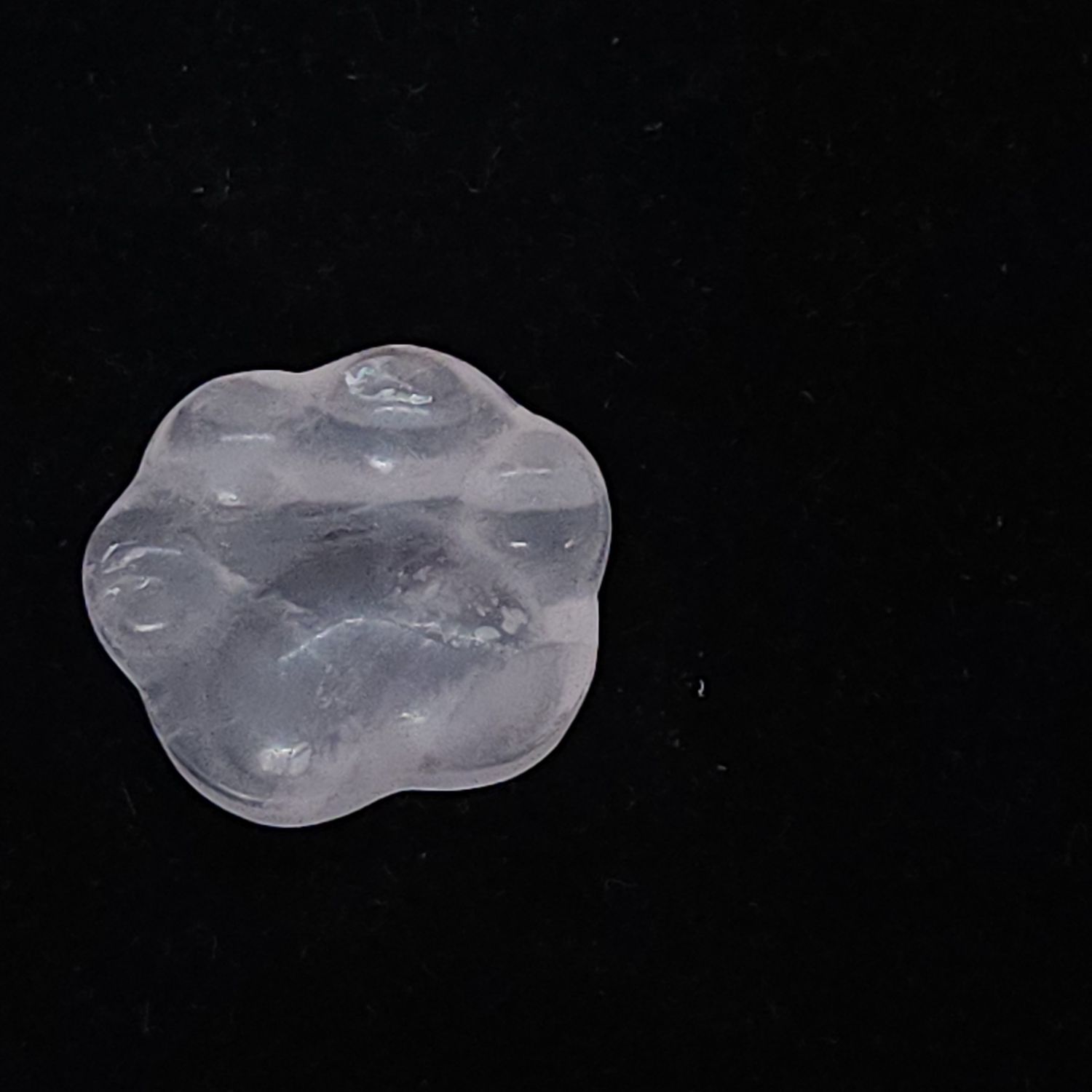 Crystal Paw Prints, Crystal: Fluorite
