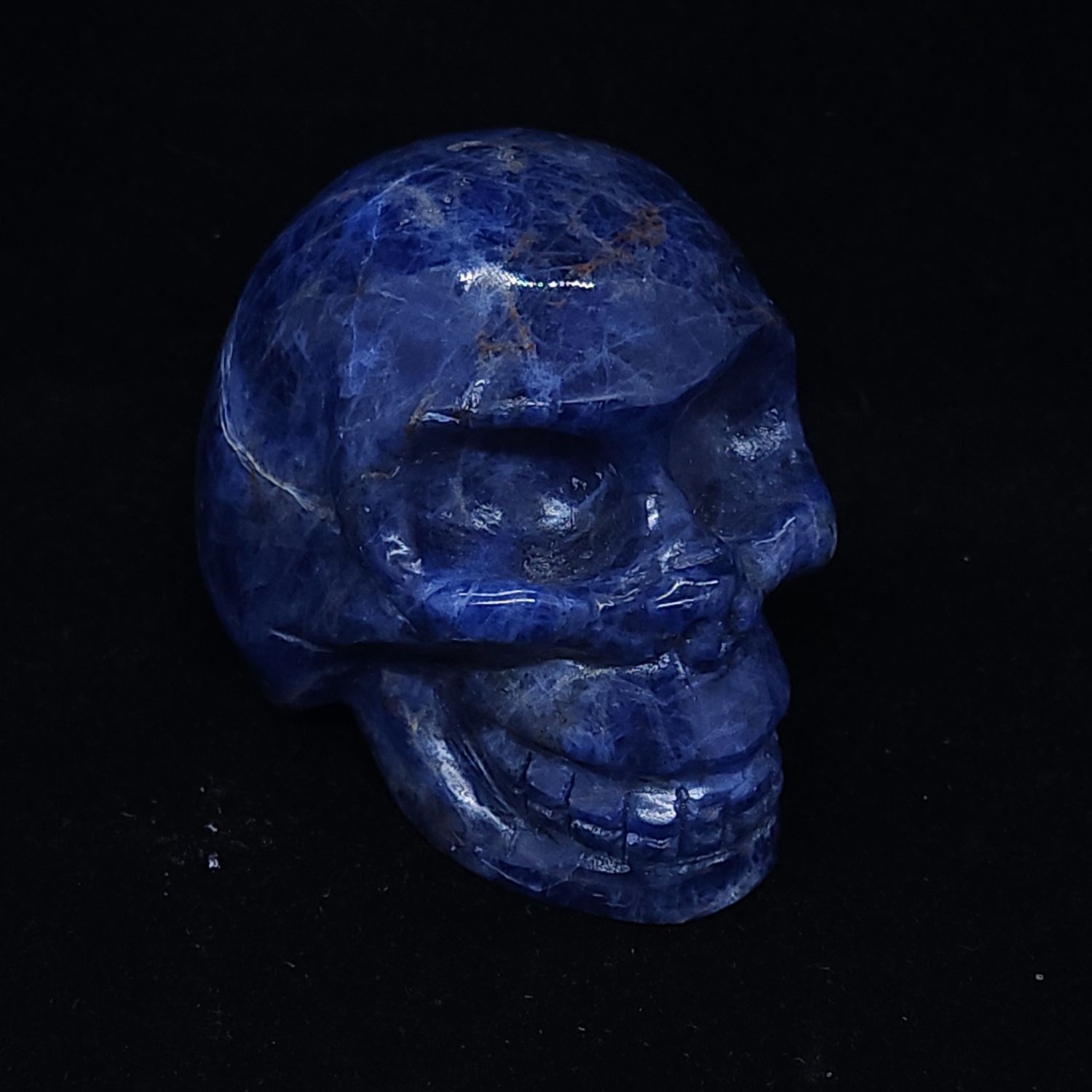 Sodalite Skull (M)