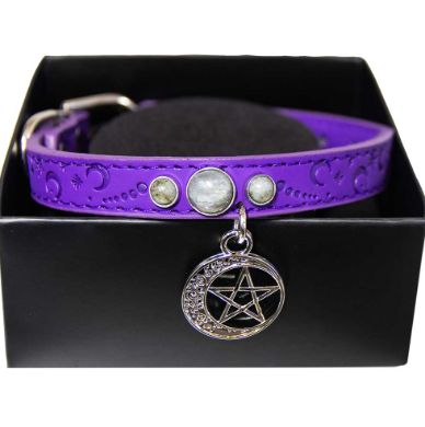 Crystal Pet Collar - Labradorite w/ Crescent Moon Pentacle