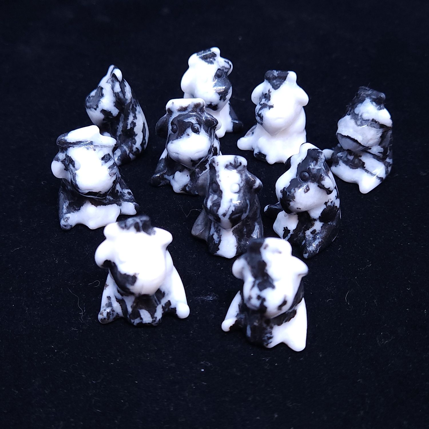 Zebra Jasper Cows