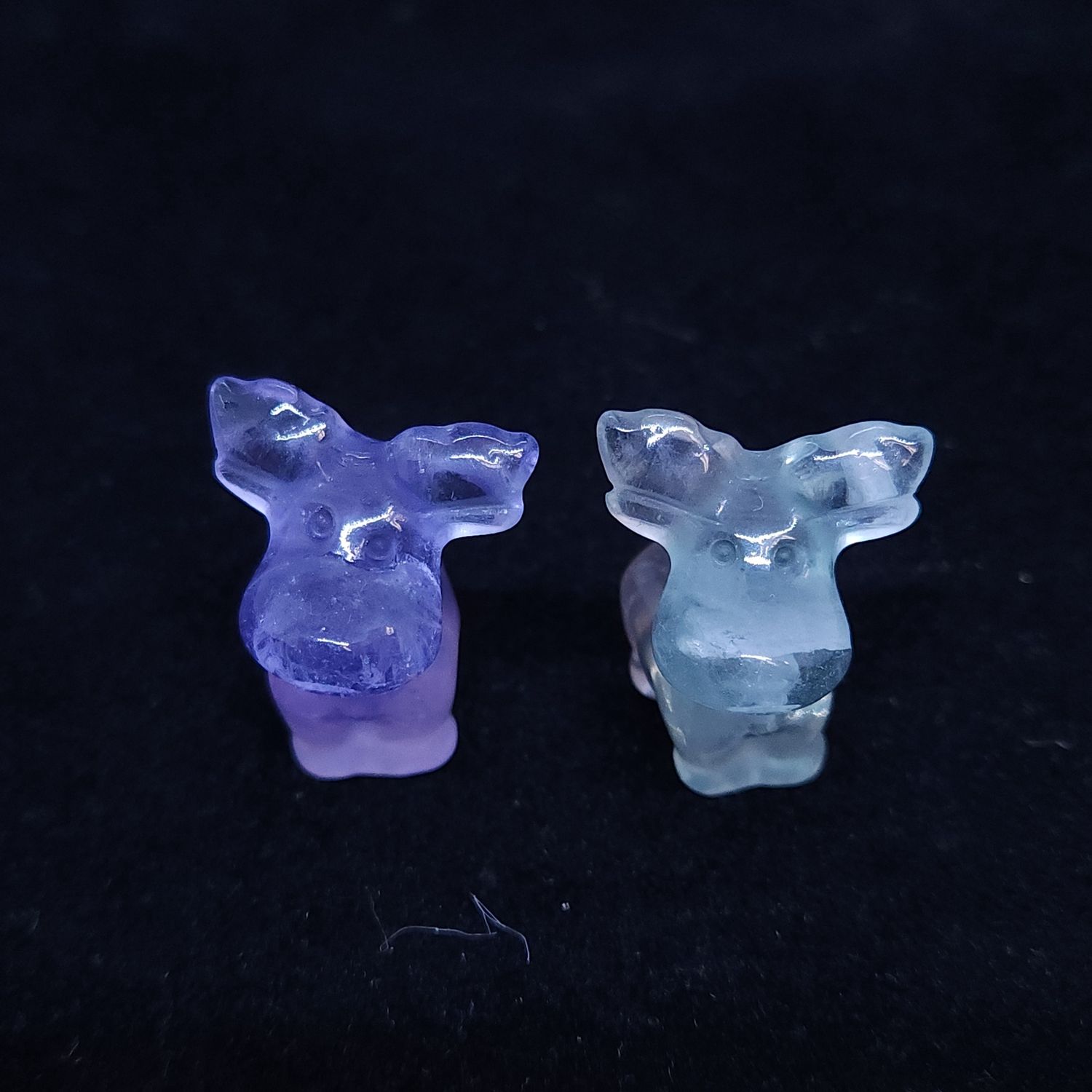 Crystal Moose, Crystal: Fluorite