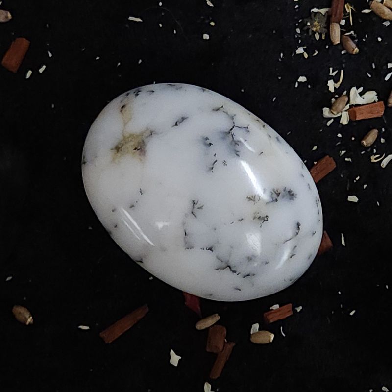 Dendritic Opal Palm Stone