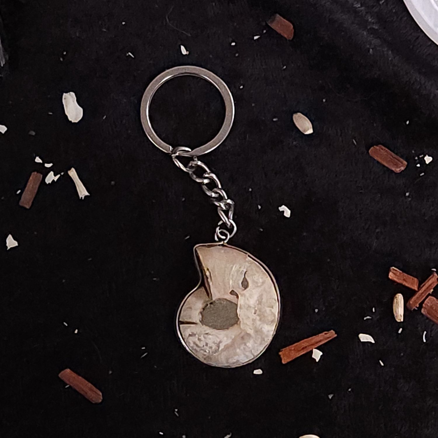 Ammonite Keychain