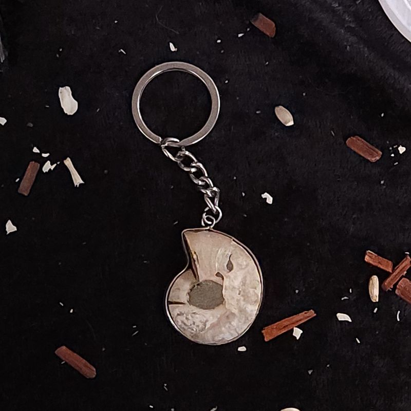 Ammonite Keychain