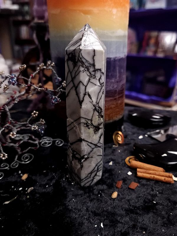 Studio Muse Picasso Jasper Tower