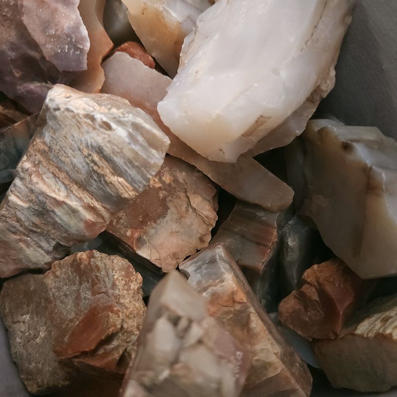 Irregular rough chunks of petrified wood in shades of brown and tan, showing visible grain and texture