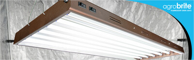 Agrobrite Designer T5 Fixture with Lamps