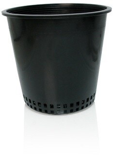 Mesh Bottom Pot, Size: 8&quot;