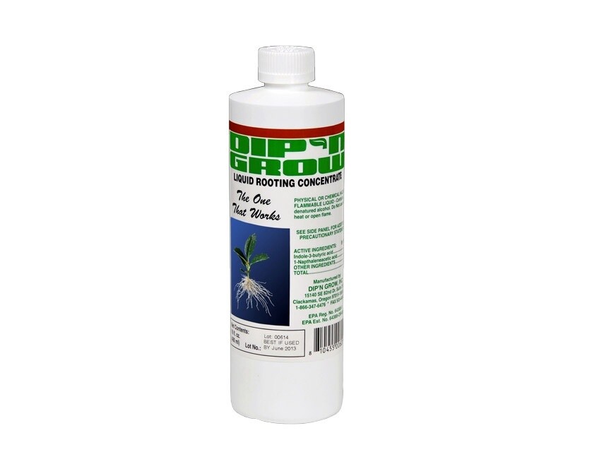 Dip &#39;n Grow Rooting Conc., Size: 1 pt