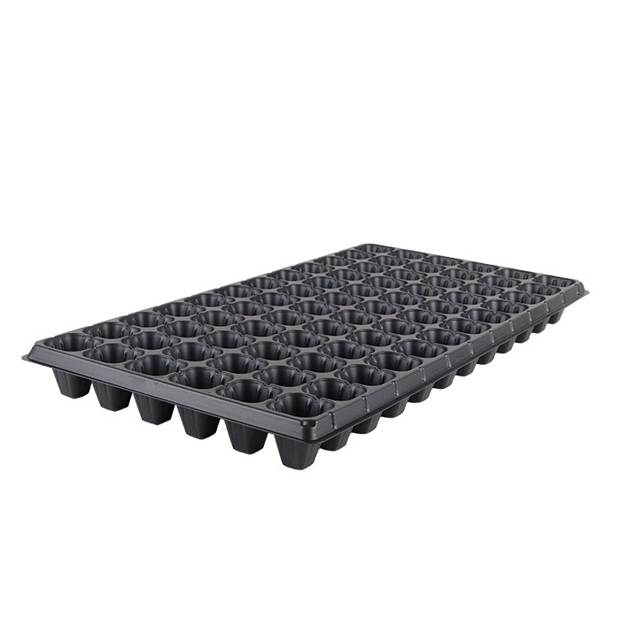 Square Seed Tray - 72 Cell, Size: 72 cell