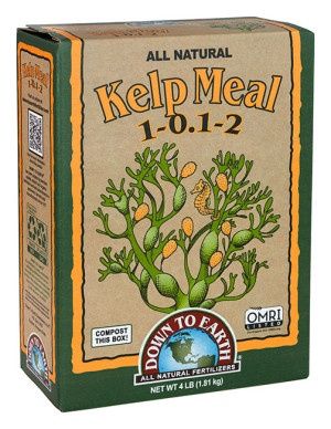 Kelp Meal 1-0.1-2